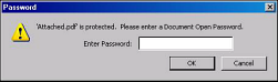 The recipient must know the password to view the file.